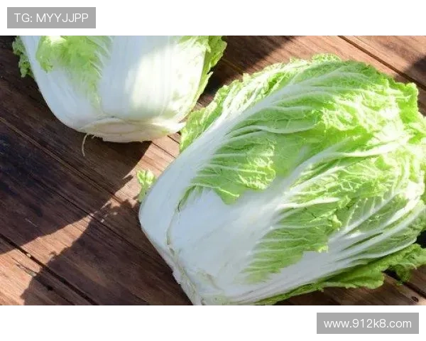 全面解析白菜网址大全600：资源丰富的优质网站推荐